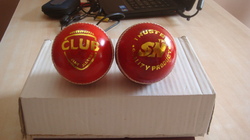 Manufacturers Exporters and Wholesale Suppliers of Cricket Ball Meerut Uttar Pradesh